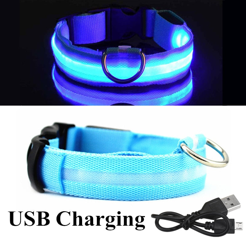 LED Dog Collar Glow light up in the dark safety