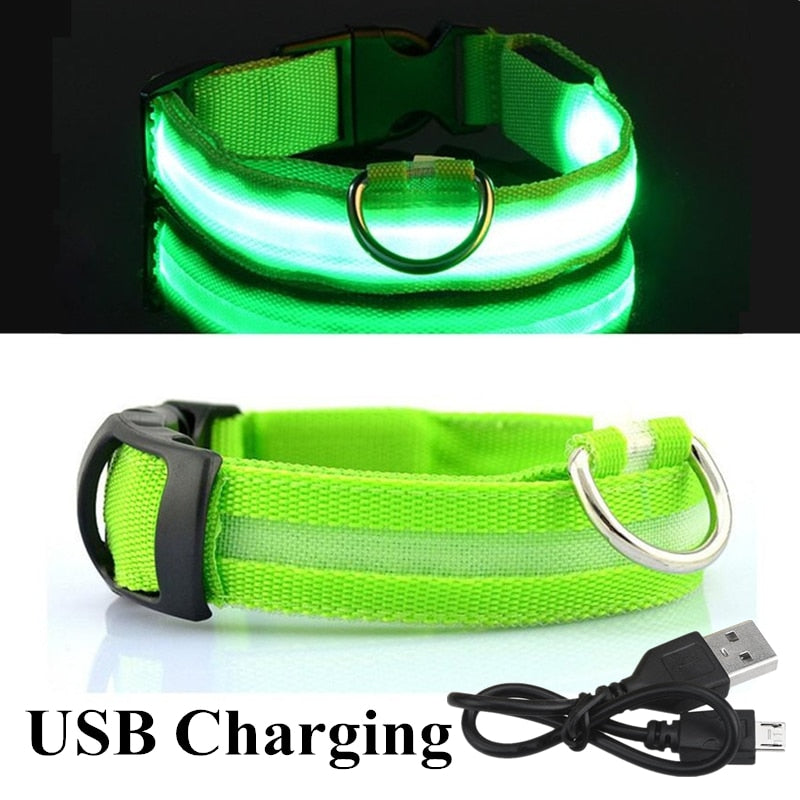 LED Dog Collar Glow light up in the dark safety