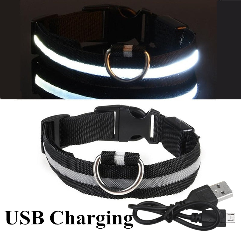 LED Dog Collar Glow light up in the dark safety