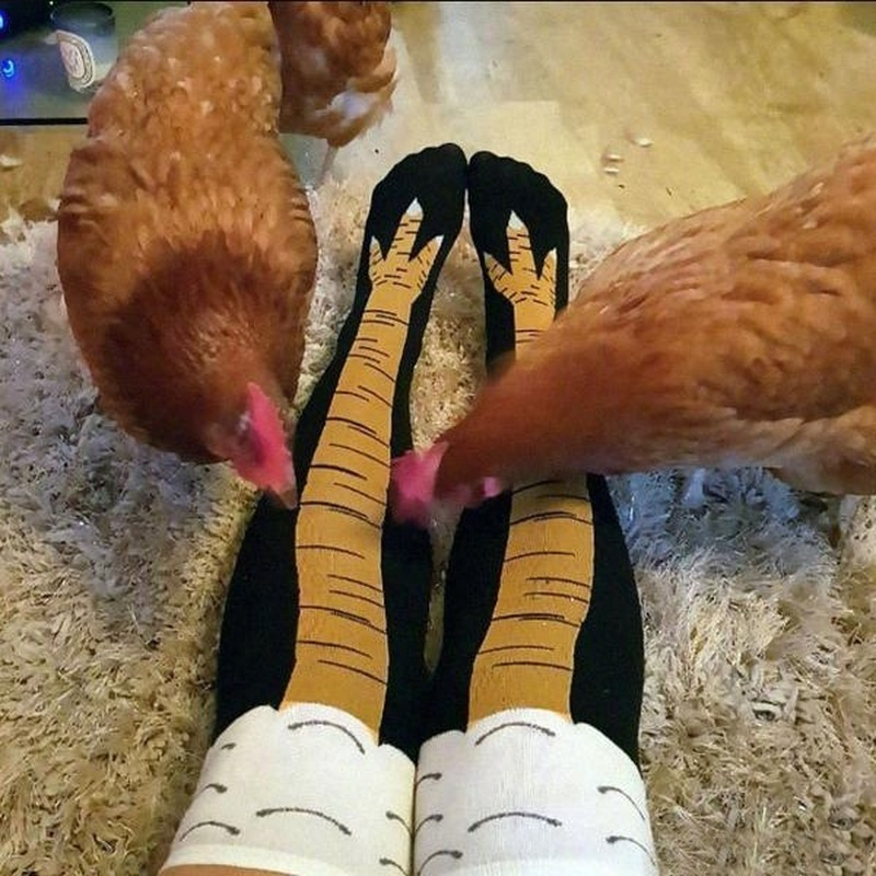 Long Funny Socks Chicken legs feet