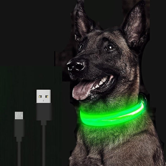 LED Dog Collar Glow light up in the dark safety