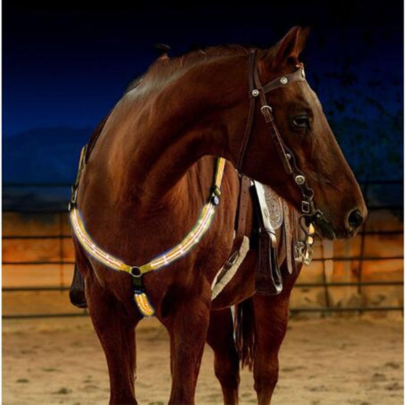 Nylon LED Horse breast Collar