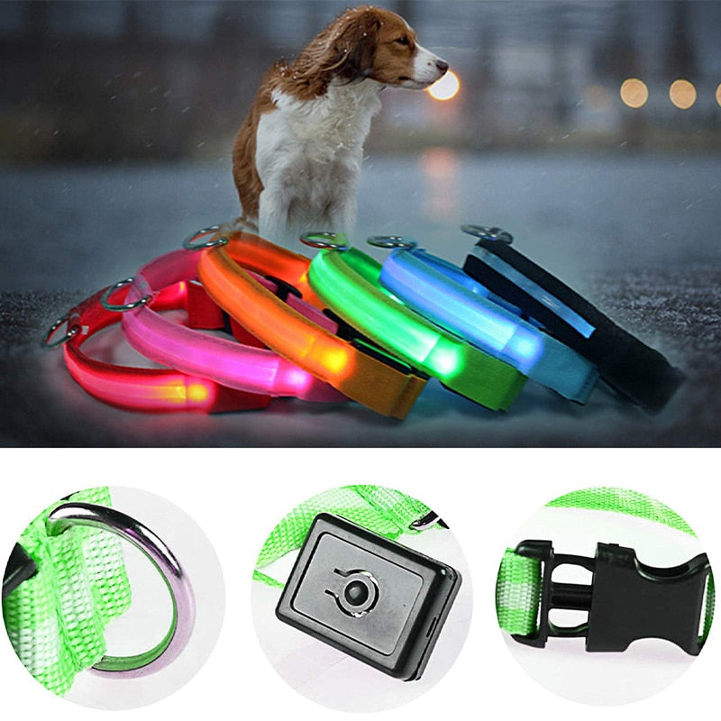 LED Dog Collar Glow light up in the dark safety