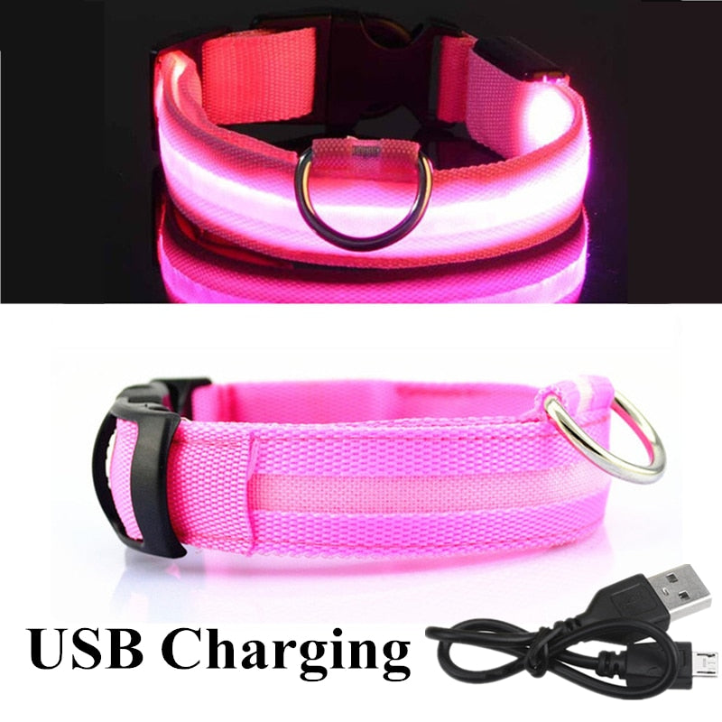 LED Dog Collar Glow light up in the dark safety